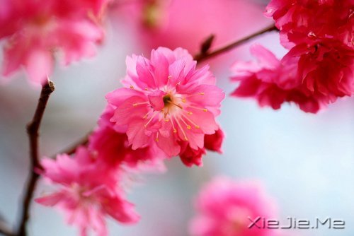 生一分钟气,就失去了60秒的快乐 (3)