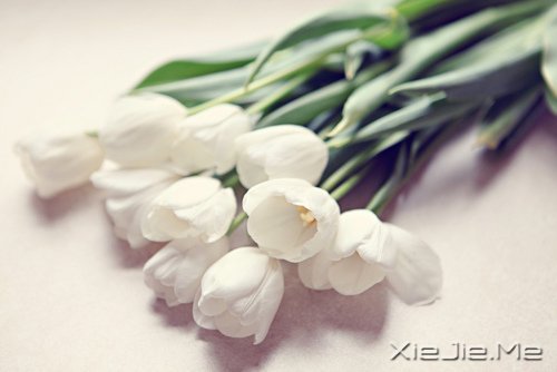 ������û��������Ȼ��ֻ���ĸ���Ը (6)