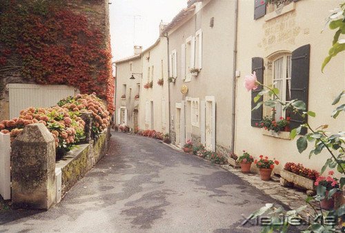 �簲�����ο���˵Ļ����վ���ο�����Լ� (12)