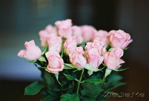 晚安心语:美不过回忆,伤不过别离 (7)