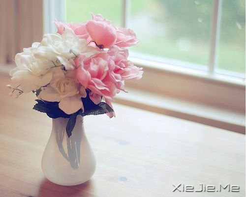 晚安心语:生活就是生下来,活下去 (3)