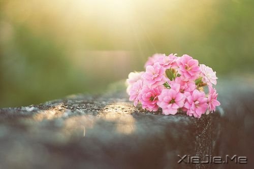 �����������ʱ����һ������ (10)