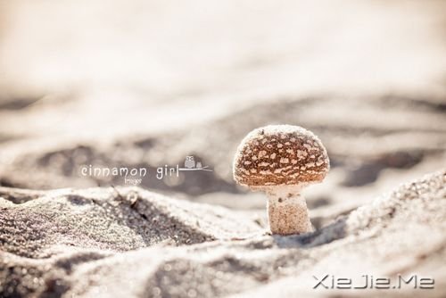 晚安心语:时间是单行道,过去了,回不来 (7)