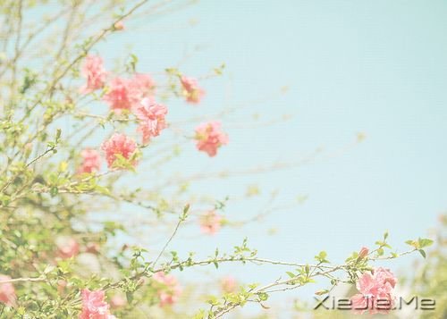 早安心语:生命中有风有雨,也有阳光 (2)