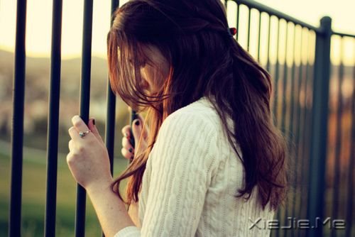 �Ҿ����ң���ɫ��һ�����̻� (4)